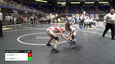 92 lbs Rd 7 - Consi-semis - Gianna Cafeo, Canon McMillan vs Hadley Heaster, Montgomery