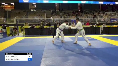 RYAN G CSER vs ALEXANDER HYON CHOI 2024 Pan Jiu Jitsu IBJJF Championship