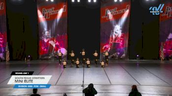 South Texas Strutters - Mini Elite [2024 Mini - Pom - Small Day 1] 2024 Just Dance Houston Showdown