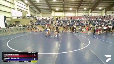 113 lbs 3rd Place Match - Breyton Banks, UT vs Daniel Rosales, ID