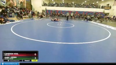 160 lbs Cons. Semi - Cameron Vogl, Moscow vs Gabe Larsen, Coeur D Alene