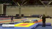 Joshua Attlesey - Double Mini Trampoline, World Elite - 2021 USA Gymnastics Championships