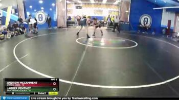 138 lbs Round 3 (8 Team) - Jagger Pentney, Backyard Boyz Black vs Andrew McCamment, Cypress Creek