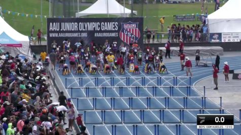 Youth Boys' 100m Hurdles Championship, Semi-Finals 5 - Age 13