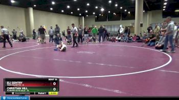 65 lbs Round 5 (6 Team) - Christian Hill, Alabama Elite Gold vs Eli Gentry, Team Palmetto