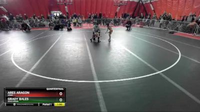 49 lbs Quarterfinal - Grady Bales, Wisconsin vs Ares Aragon, Iowa