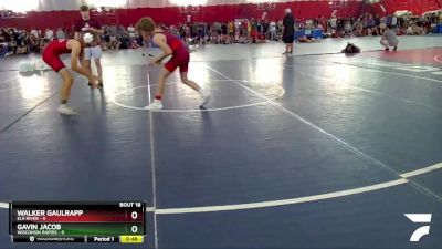 118-118 C Round 2 - Walker Gaulrapp, Elk River vs Gavin Jacob, Wisconsin Rapids