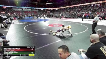 D2-126 lbs Champ. Round 1 - Ivan Woodhull, Northwestern vs Michael Bostwick, Luxemburg-Casco