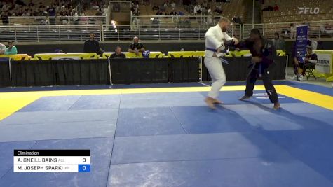 ARMANI ONEILL BAINS vs MICHAEL JOSEPH SPARK 2024 Pan Jiu Jitsu IBJJF Championship