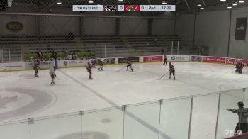 Replay: Home - 2024 Cougars U18 AAA vs Wild U18 AAA | Feb 10 @ 4 PM