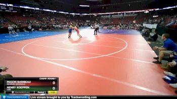 D2-285 lbs Champ. Round 1 - Mason Baribeau, Baldwin-Woodville vs Henry Koeppen, Lodi