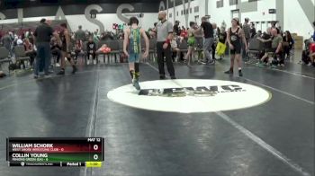 100 lbs Round 3 (8 Team) - WILLIAM SCHORK, West Shore Wrestling Club vs Collin Young, Minions Green (GA)