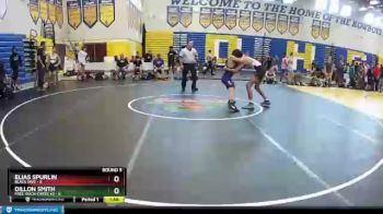 120 lbs Round 5 (8 Team) - Dillon Smith, Free-Buch-Creek #2 vs Elias Spurlin, Black Hive