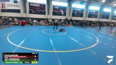 46 lbs Cons. Round 3 - Tya Elasfouri, Gracie Barra Westchase Wrestling Club vs Jett Rodriguez, Borger Youth Wrestling