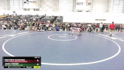 96 lbs Quarterfinal - Owen Weiner, Deep Roots Wrestling Club vs Matthew Schomske, Purple Eagles Wrestling Academy