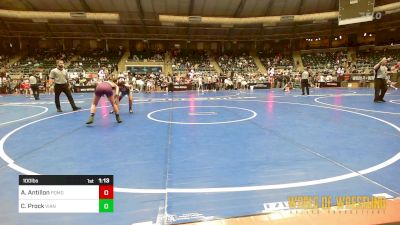 100 lbs Round Of 16 - Arianna Antillon, Pomona Elite vs Cara Prock, Vian Wrestling Club