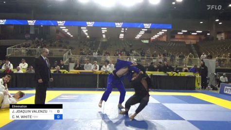 JOSE JOAQUIN VALENZUELA TORRES vs CHRISTOPHER M. WHITE 2024 Pan Jiu Jitsu IBJJF Championship
