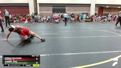 91 lbs Round 2 - Adrian Feliciano, Darkhorse vs Gabriel Diaz, Palmetto State Wrestling Academy