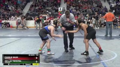 110 lbs Quarterfinal - Declan Tiemstra, Andover vs Charlie Shum, Marysville