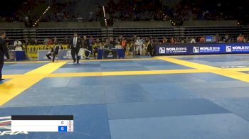 RONALDO PEREIRA DE SOUZA JUNIOR vs SHANE FISHMAN 2019 Pan Jiu-Jitsu IBJJF Championship