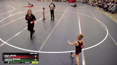 48 lbs Semis & 1st Wrestleback (8 Team) - Lincoln Rosario, Farmington vs Cole Joecks, NRHEG