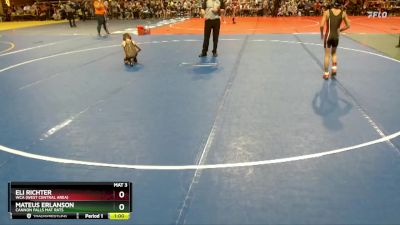 72 lbs Champ. Round 1 - Eli Richter, WCA (West Central Area) vs Mateus Erlanson, Cannon Falls Mat Rats