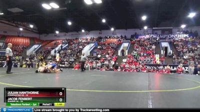 175 lbs Semifinals (8 Team) - Jacob Fenbert, Dundee HS vs Julian Hawthorne, Constantine HS