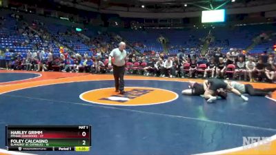 182 lbs Quarterfinals (8 Team) - Foley Calcagno, Elmhurst (IC Catholic) vs Harley Grimm, Fithian (Oakwood)