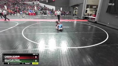 81 lbs Cons. Round 4 - Carson Schrab, Belmont-Platteville vs Brantlee Prom, Askren Wrestling Academy