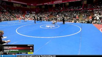 106 lbs D1/d2/d3 Finals (sat 3:00 P.m.) - Cade Birchman, Fennimore vs Mason Demerath, Shiocton