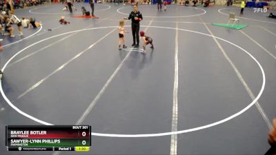 48 lbs Round 3 - Sawyer-Lynn Phillips, Farmington vs Braylee Botler, New Prague