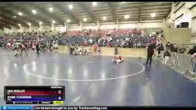 119 lbs Semifinal - Ian Avalos, ID vs Kobe Cunanan, WA