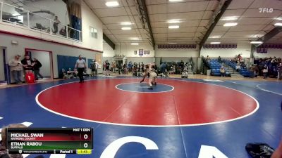 190 lbs Quarterfinal - Michael Swan, Natrona County vs Ethan Rabou, Buffalo