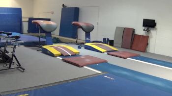 Krista Collins Vault