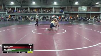 197 lbs Champ. Round 1 - Jacob Badger, Augustana (IL) vs Jesus Ceja, Buena Vista