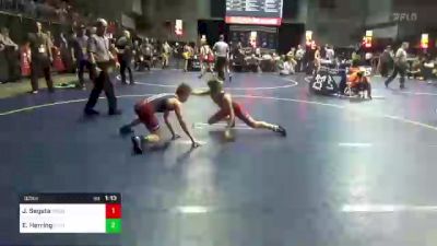 92 lbs Quarterfinal - John Segata, Council Rock vs Eli Herring, Bishop McCort