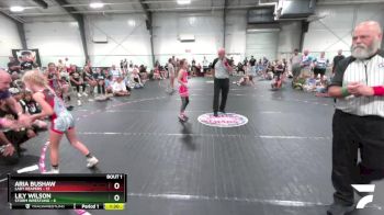 70 lbs Finals (2 Team) - Lily Wilson, Storm Wrestling vs Aria Bushaw, Lady Reapers