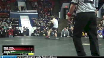 138 lbs Finals (8 Team) - Cole Marry, Hudson Area HS vs Layne Knisely, Bronson HS