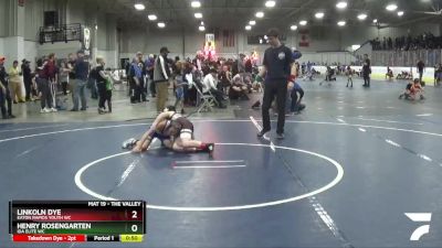 82 lbs Quarterfinal - Henry Rosengarten, Ida Elite WC vs Linkoln Dye, Eaton Rapids Youth WC