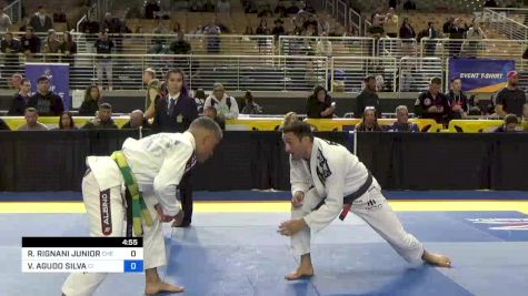 ROBERTO RIGNANI JUNIOR vs VINICIUS AGUDO SILVA 2024 Pan Jiu Jitsu IBJJF Championship