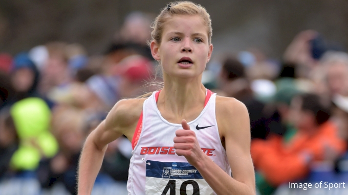 Allie Ostrander