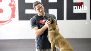 Athletes And Their Dogs