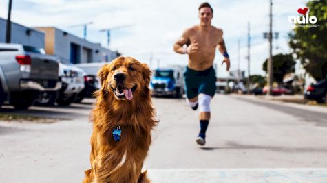 Athletes And Their Dogs: Noah & Max