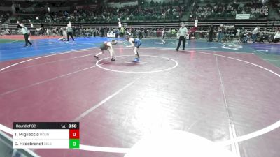 75 lbs Round Of 32 - Troy Migliaccio, Mount Olive vs David Hildebrandt, Delsea