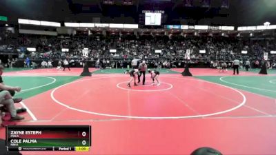 74 lbs Quarterfinal - Cole Palma, NBHA vs Zayne Esteph, PWCA