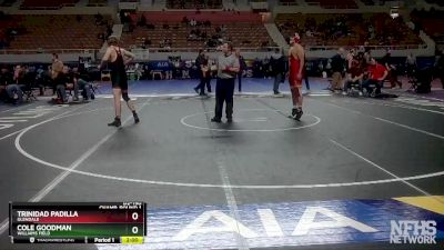 D2-190 lbs Champ. Round 1 - Cole Goodman, Williams Field vs Trinidad Padilla, Glendale