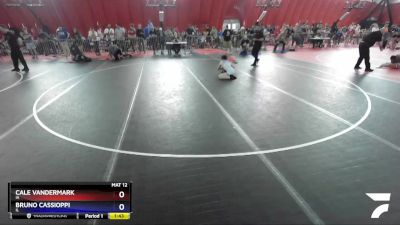 113 lbs Quarterfinal - Cale Vandermark, IA vs Bruno Cassioppi, IL