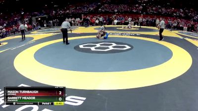 D2-138 lbs Cons. Semi - Garrett Meador, Oakwood vs Mason Turnbaugh, Ontario