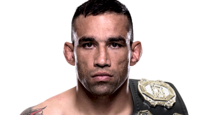 picture of Fabricio Werdum