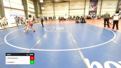 95 lbs Consi Of 8 #2 - Jake Strickland, SC vs Jack Anello, NJ